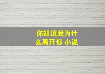 你知道我为什么离开你 小说